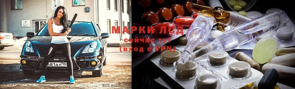 винт Абаза