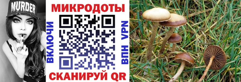 Псилоцибиновые грибы ЛСД  Краснокамск 