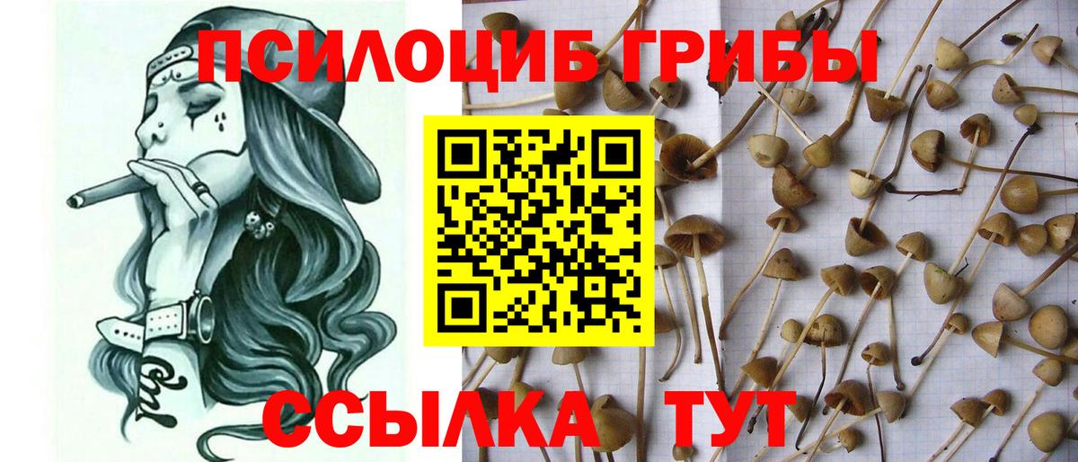 Псилоцибиновые грибы ЛСД Краснокамск