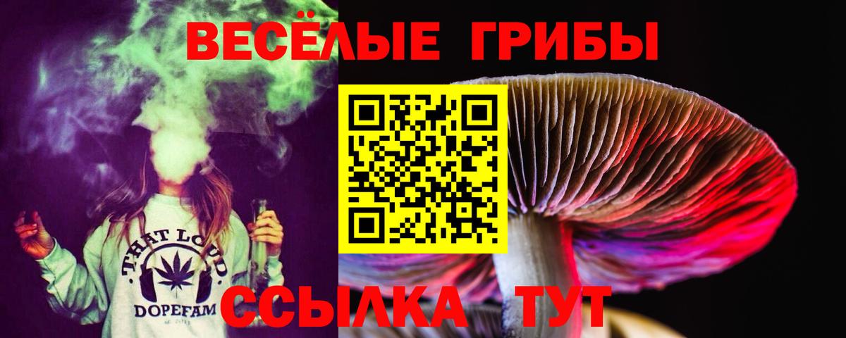 Краснокамск  Галлюциногенные грибы Cubensis  Псилоцибиновые грибы GOLDEN TEACHER  Вход с VPN 